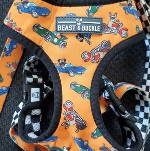 Matching Dog harness and leash set